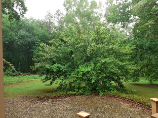  Terrain � vendre 1 pi�ce 20 m�