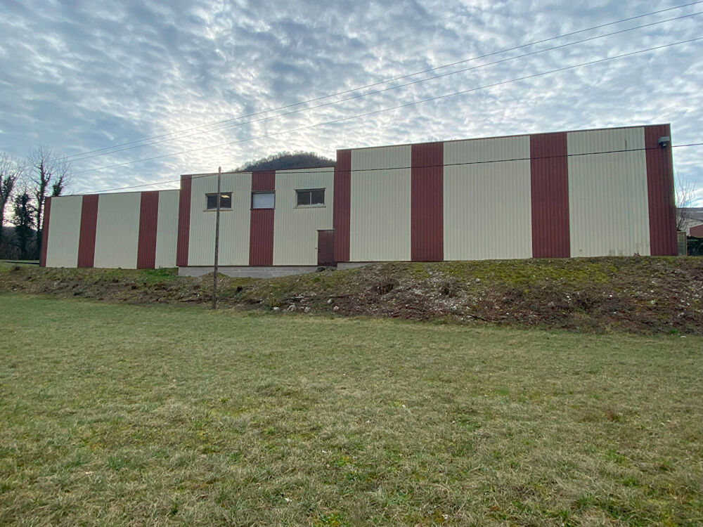   LOCAL PROFESSIONNEL ET COMMERCIAL 1056 m2 Chancia