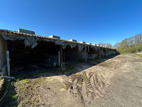 Deux hangars sur 1 hectare de terrain à Questembert 86950 56230 Questembert