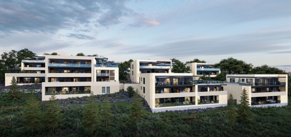 � vendre  Appartement Saint-Didier-au-Mont-d'Or (69370)