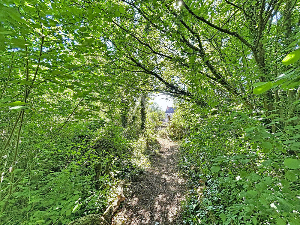 Vente Terrain Terrain Rubelles 768 m2 Rubelles