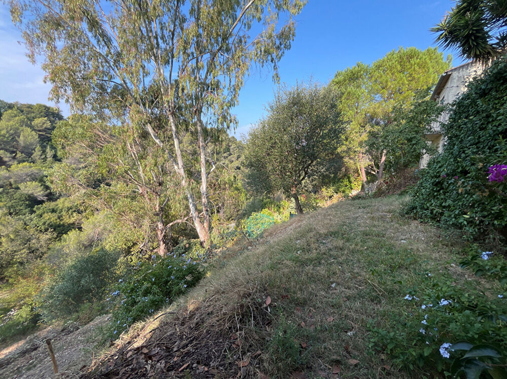 � vendre  Maison Cagnes-sur-Mer (06800)