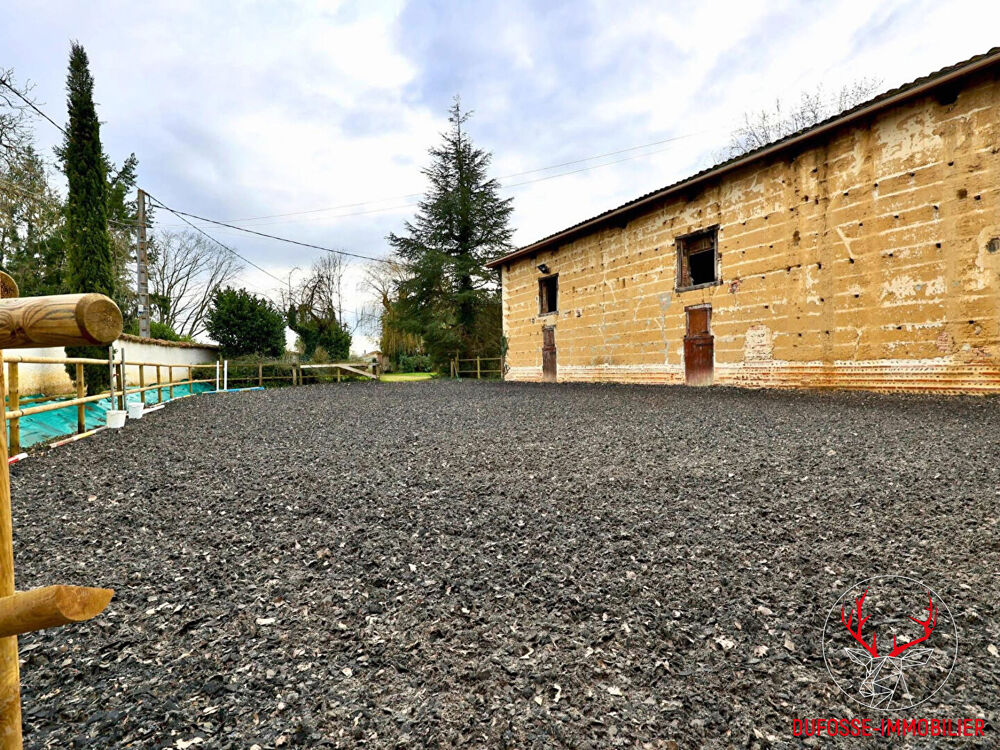 Vente Maison Propriété équestre de 3,5 hectares Chatillon sur chalaronne