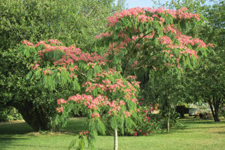  Maison � vendre 4 pi�ces 128 m�