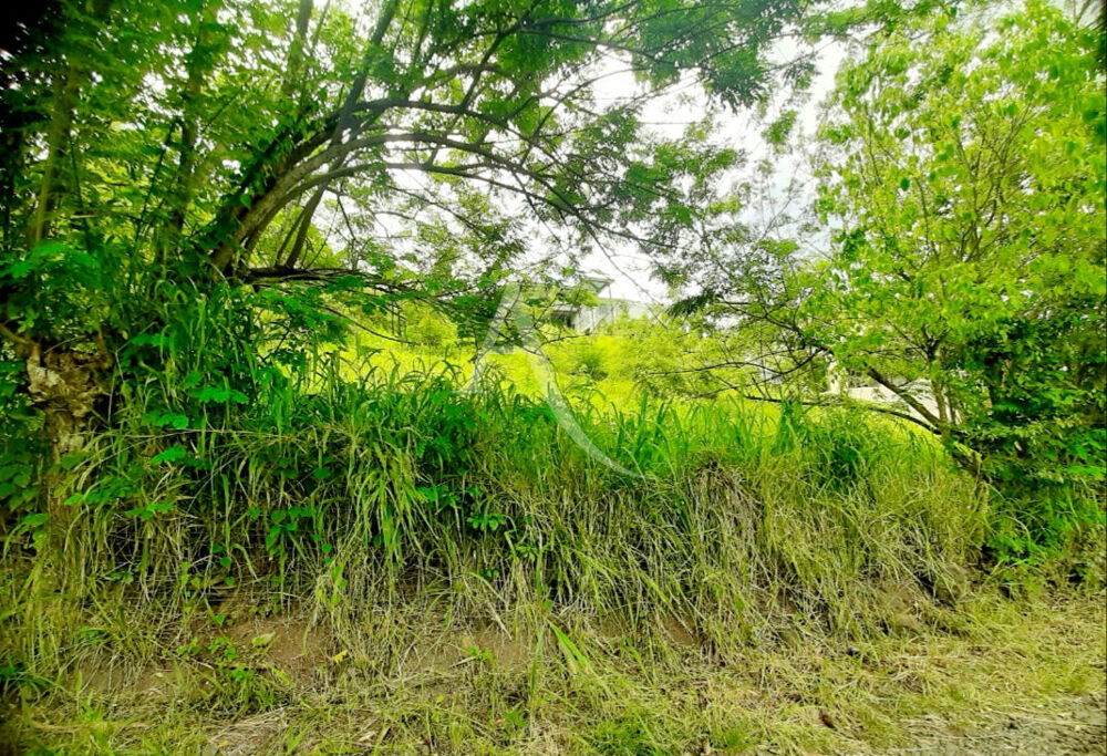Vente Terrain Terrain pentue 922 m2 à viabiliser, zone U3, Sainte-Luce vue montagne imprenable, PEPITE A SAISIR !!!!! Sainte luce