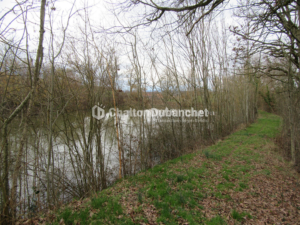 Vente Terrain Terrain de loisirs St Cyr De Favieres St cyr de favieres
