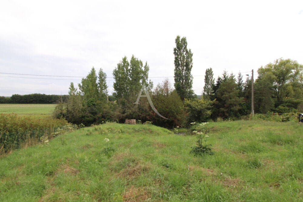 Vente Terrain ENTRE CHOUZY ET ONZAIN - 15 KMS DE BLOIS Chouzy sur cisse