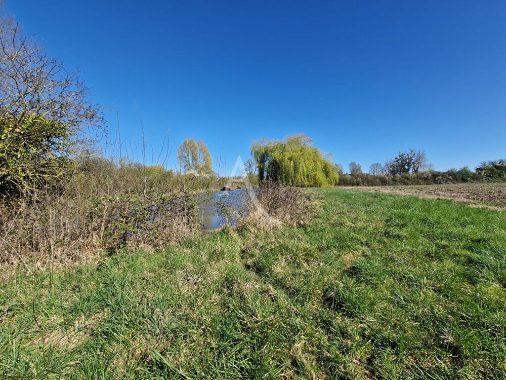 Vente Terrain Terrain de loisirs Louresse Rochemenier Louresse rochemenier