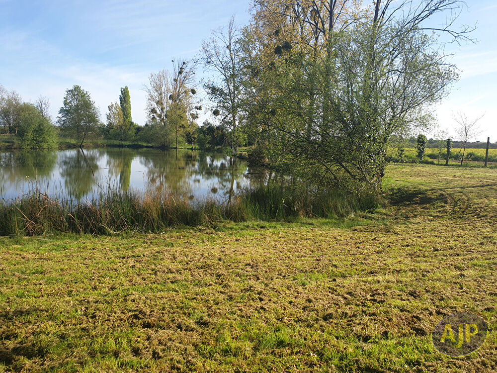 Vente Terrain Terrain Montaigu Vendee 5810 m2 Montaigu vendee