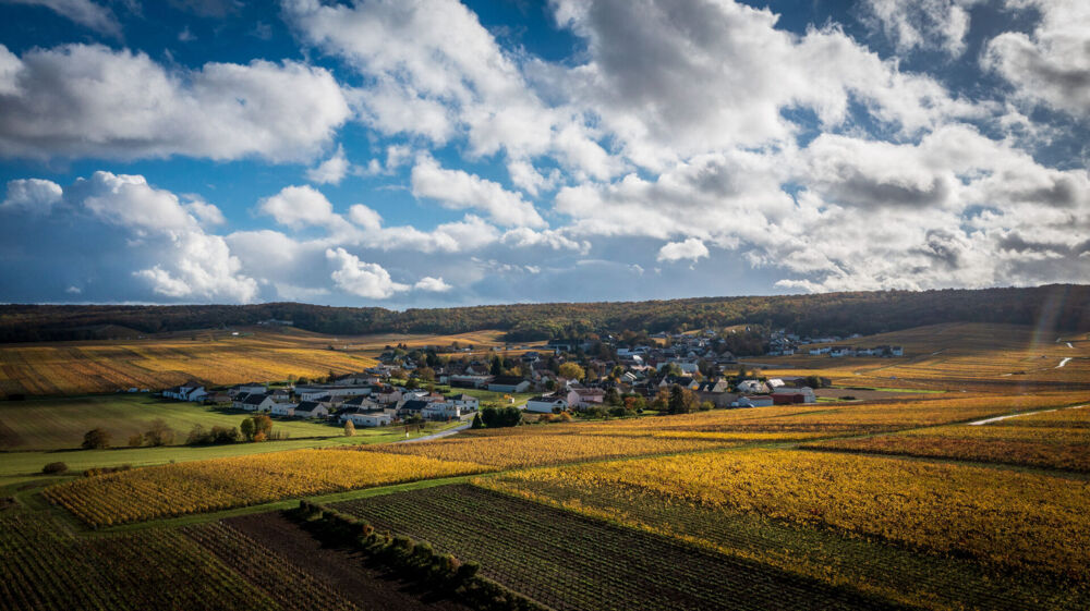 Vente Terrain Terrain à bâtir proche Jonchery Sur Vesle - vue sur la vallée / vignoble - 2100 m2 Jonchery sur vesle