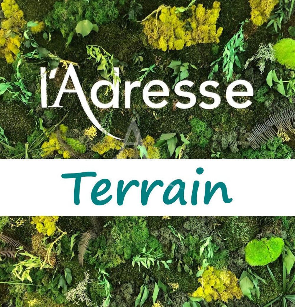 Vente Terrain Terrain Saint Medard En Jalles Saint medard en jalles