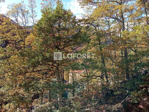   Appart 45m� + Loggia, Parking - La Preste Appartement - 2 pi�ce(s) - 41 m�