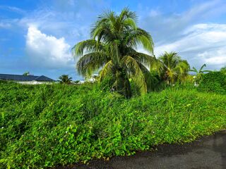  Terrain � vendre 500 m�