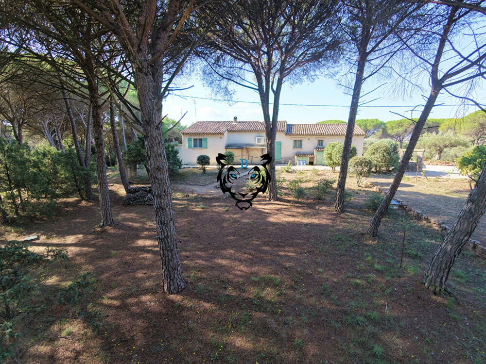 à vendre  Maison Roquebrune-sur-Argens (83520)