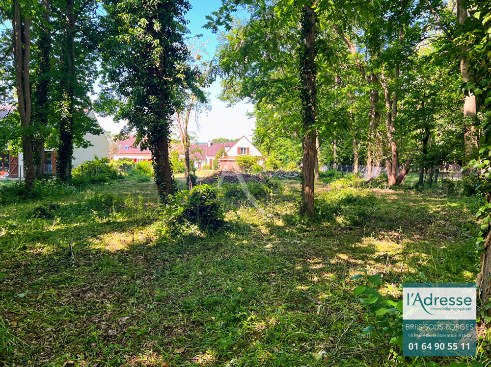 Vente Terrain Terrain plat de 700m² au coeur de briis sous forges Briis sous forges
