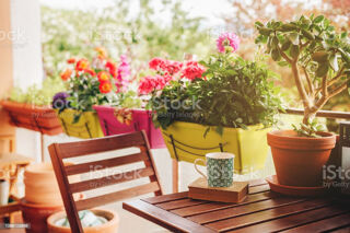  Appartement � vendre 2 pi�ces 42 m�