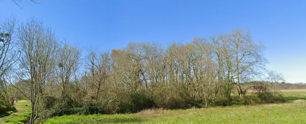 Vente Terrain Terrain en zone agricole  - Saint Martin De Hinx Saint martin de hinx