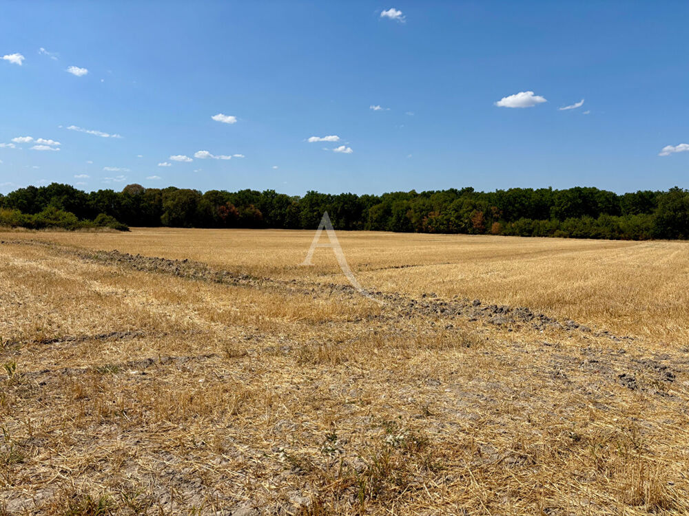 Vente Terrain Terrain Chemery 15517 m2 Chemery