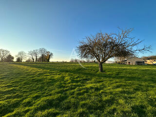  Terrain à vendre 1250 m²