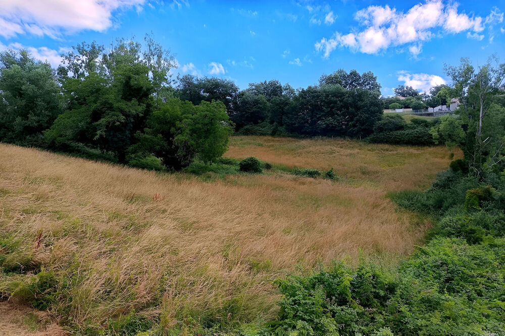 Vente Terrain Terrain Mirandol Bourgnounac 10455 m2 dépendances, mare, terrasses Mirandol bourgnounac