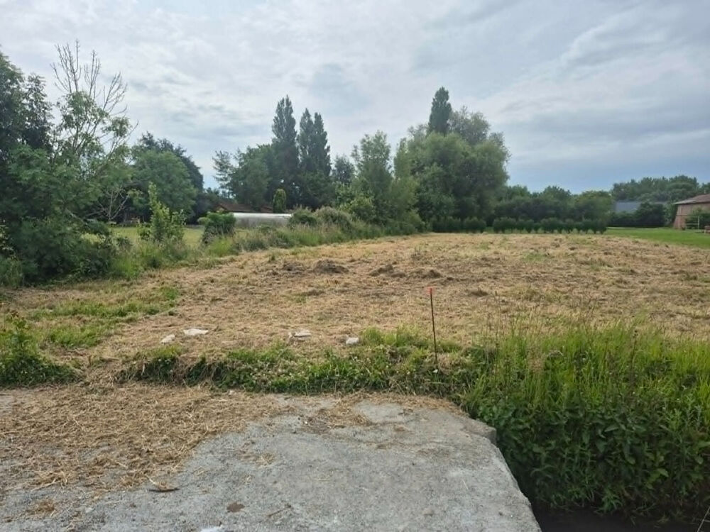 Vente Terrain Terrain constructible de 1 069 m² à Molinghem (Isbergues Isbergues