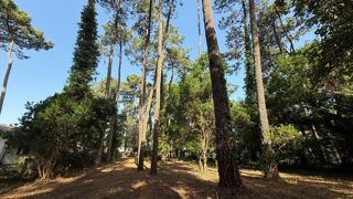  Terrain � vendre 1 m�