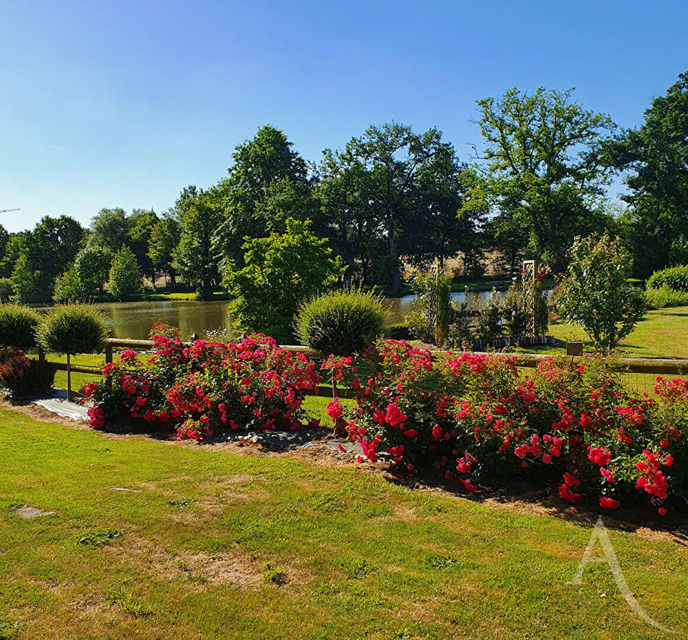 � vendre  Maison Montaigu (85600)