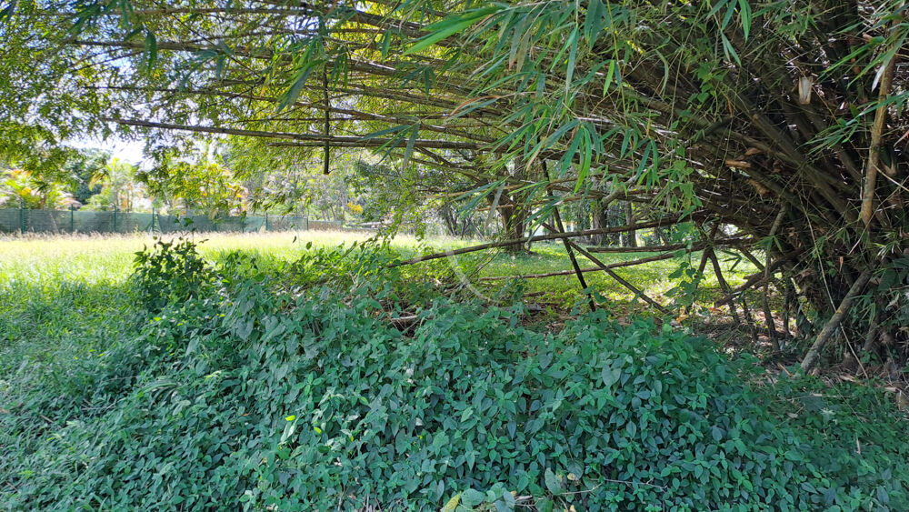 Vente Terrain Terrain  4019 m2 quartier La Chaumière - MATOURY Matoury