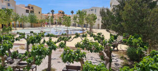  Appartement � vendre 2 pi�ces 26 m�