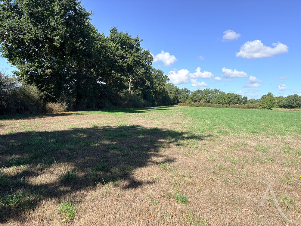 Vente Terrain Terrain de loisirs Montaigu Vendee Montaigu vendee