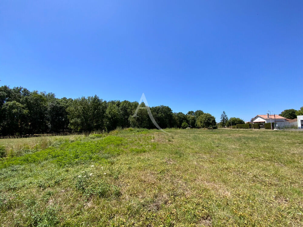 Vente Terrain Terrain St-Ciers-Du-Taillon 1138 m2 St ciers du taillon