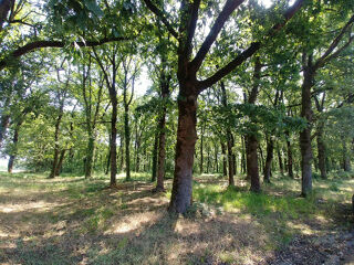  Maison � vendre 6 pi�ces 127 m�