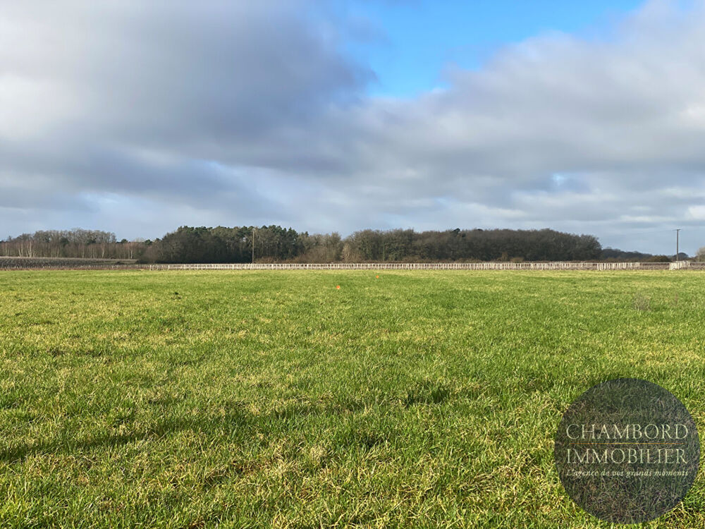 Vente Terrain Terrain Couddes 2332 m2 Couddes