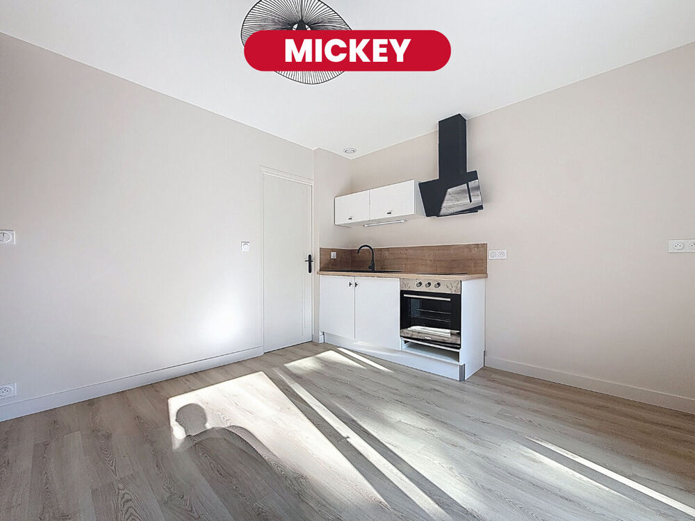 MICKEY - studio - 22 m2 - Saint Maurice Pellevoisin