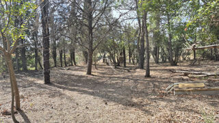  Terrain  vendre 737 m