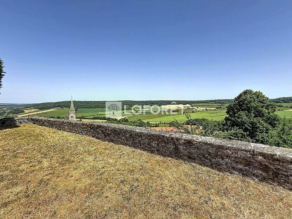 Maison Bourmont Entre Meuse Et Mouzon 19 pièce(s) 616.83 m2