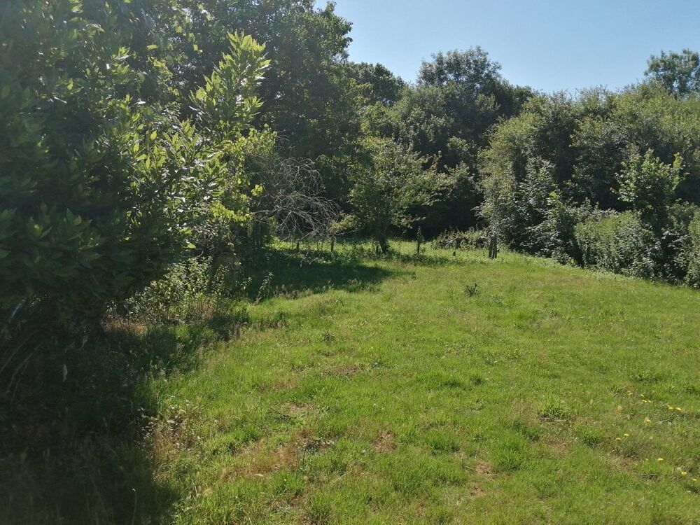 Chirac - maison avec grange, terrain et source d'eau - petite exploitation