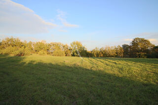  Terrain à vendre 9856 m²
