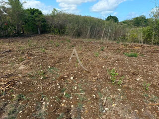  Terrain à vendre 1000 m²