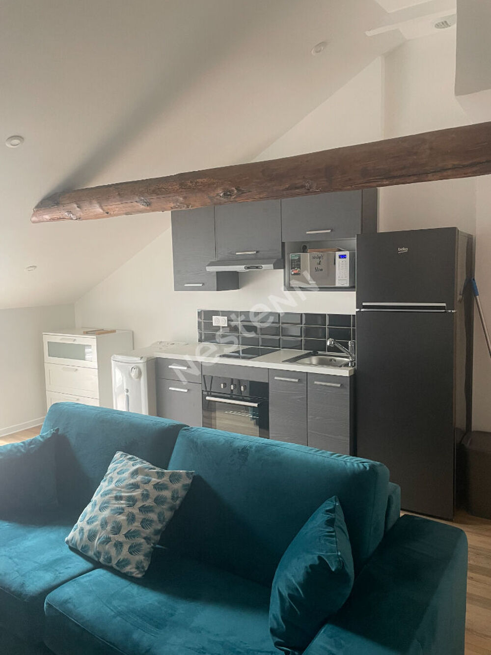 Location Appartement Appartement de 50m2 idéal Co Living dans centre Yssingeaux Yssingeaux