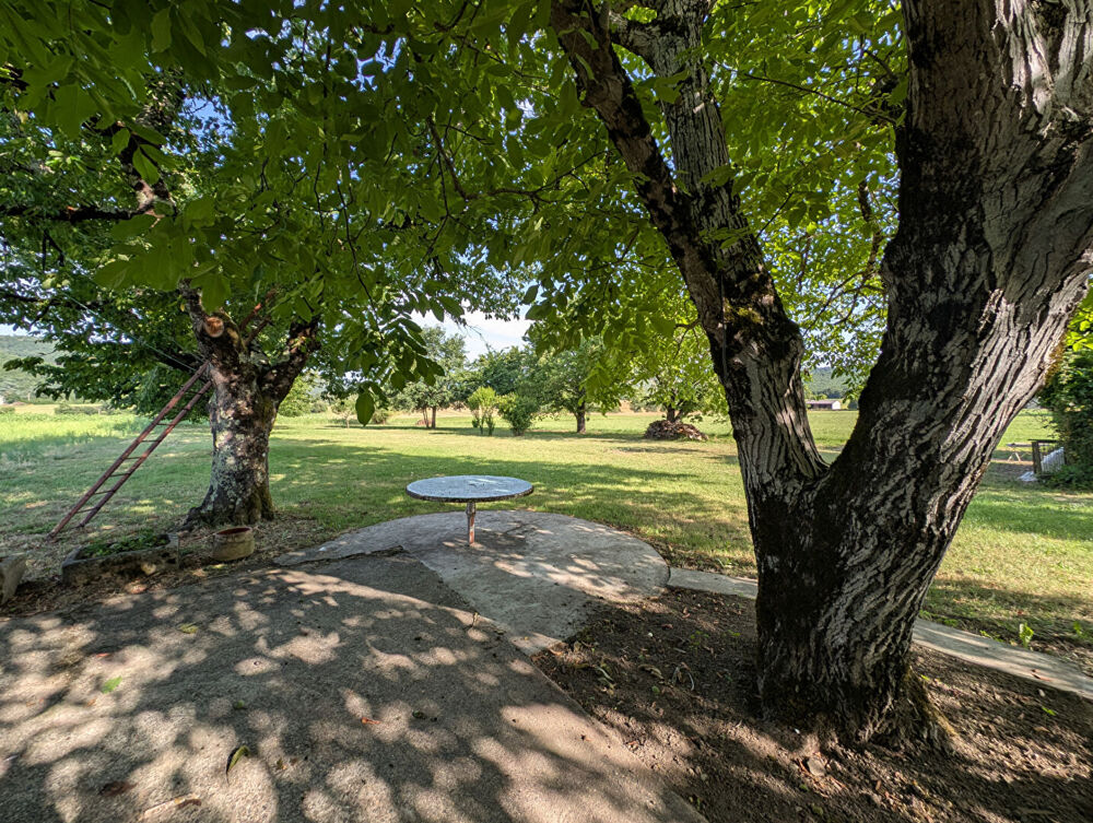 Vente Maison Beau projet! Visitable à partir du 16 juillet Saint antonin noble val