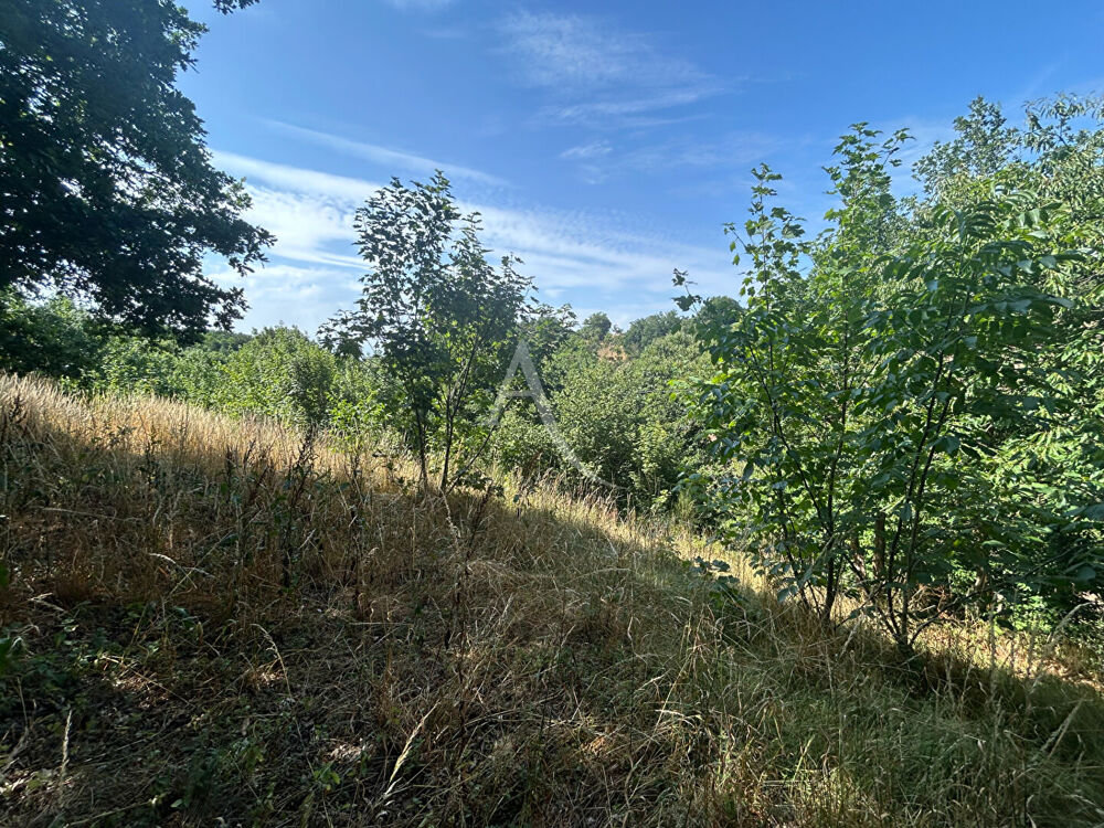 Vente Terrain Terrain de loisirs - Chateau-Gontier-sur-Mayenne Chateau gontier sur mayenne