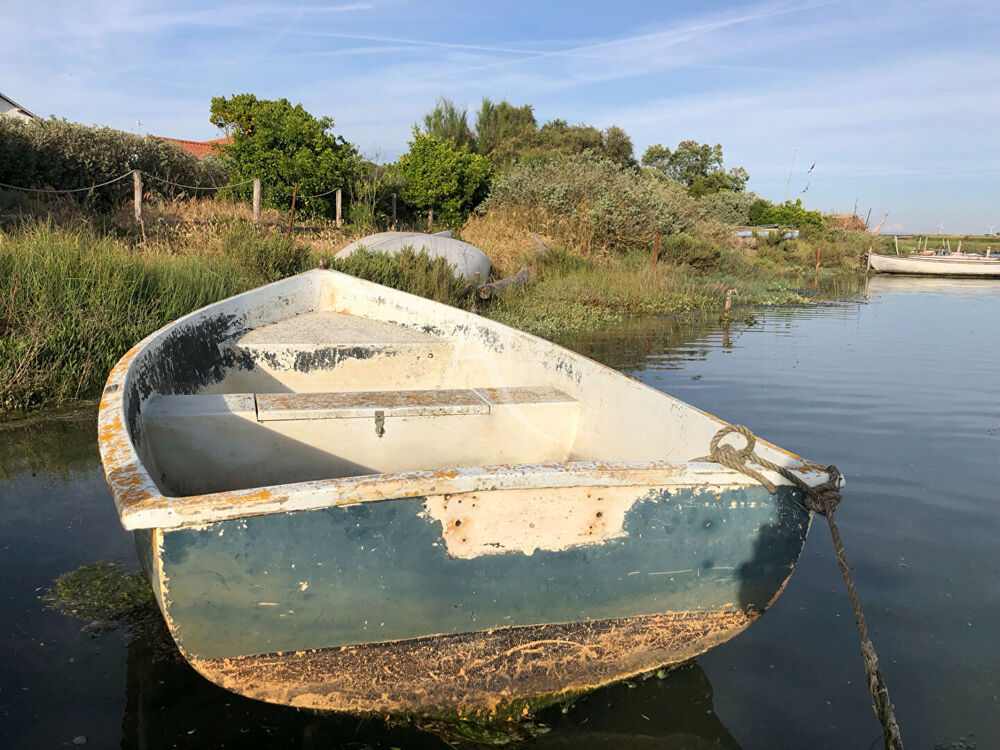 � vendre  Maison Brem-sur-Mer (85470)