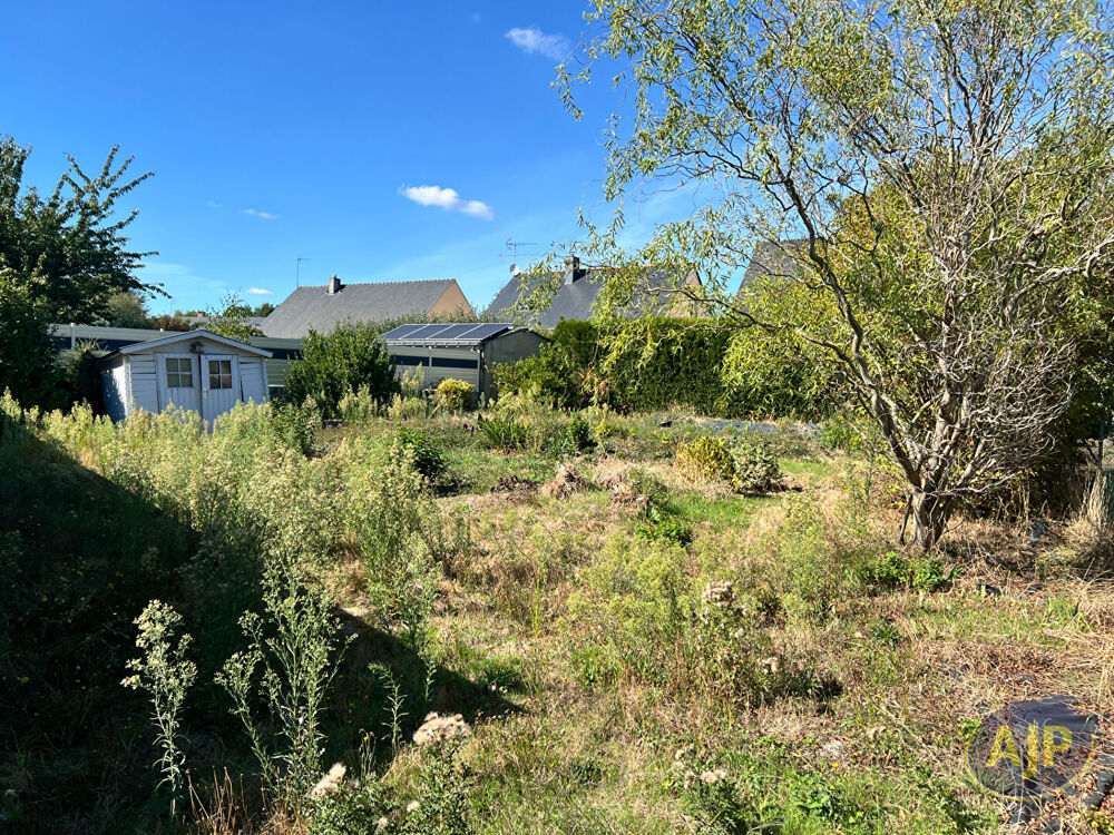 Vente Terrain SAINTE GEMMES D'ANDIGNÉ Sainte gemmes d andigne