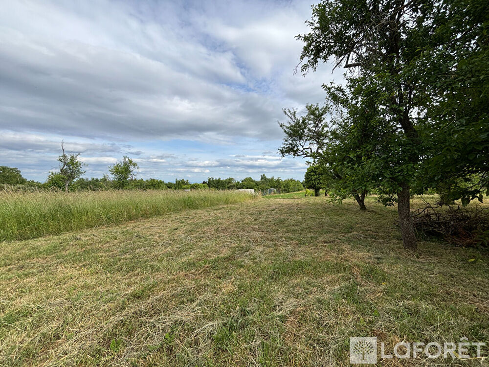 Vente Terrain Beau terrain constructible 780m2 Bernardswiller Bernardswiller