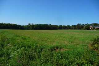  Terrain � louer 61198 m� Vouzon