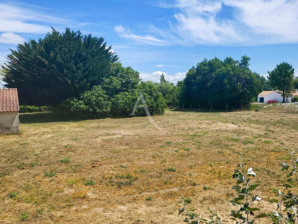 Vente Terrain Terrain - Notre Dame De Monts - 910 m2 Notre dame de monts