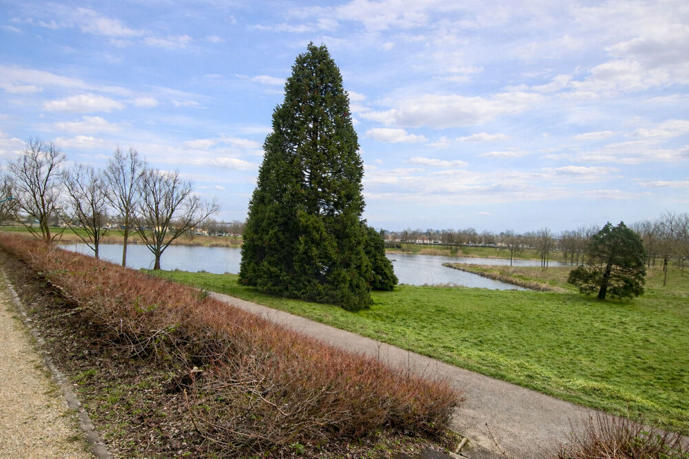Vente Appartement Maison du lac Serris 5 pièce(s) 103 m2 Serris