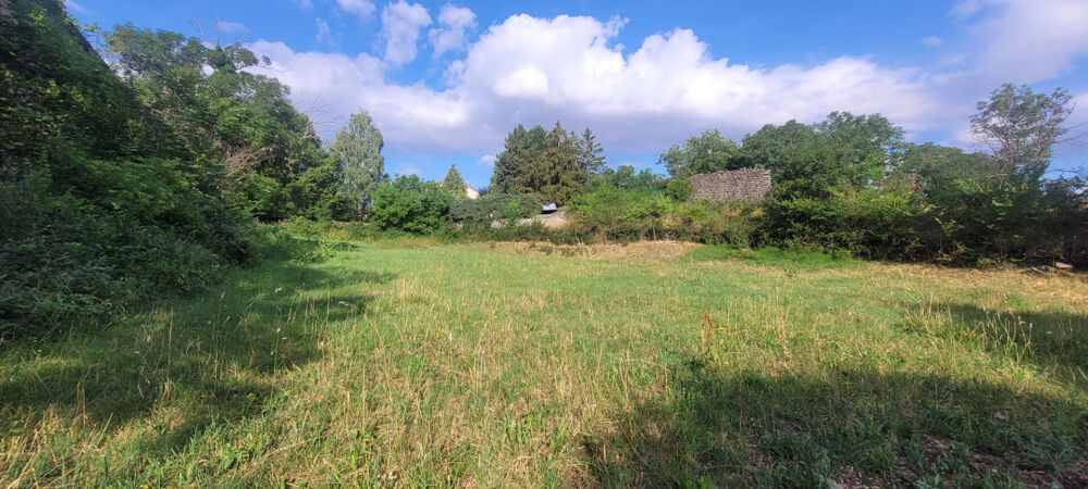 Vente Terrain terrain constructible non viabilisé d'une surface de 1793m² Sanssac l eglise