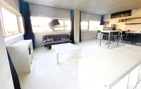  Appartement � louer 1 pi�ce 45 m�